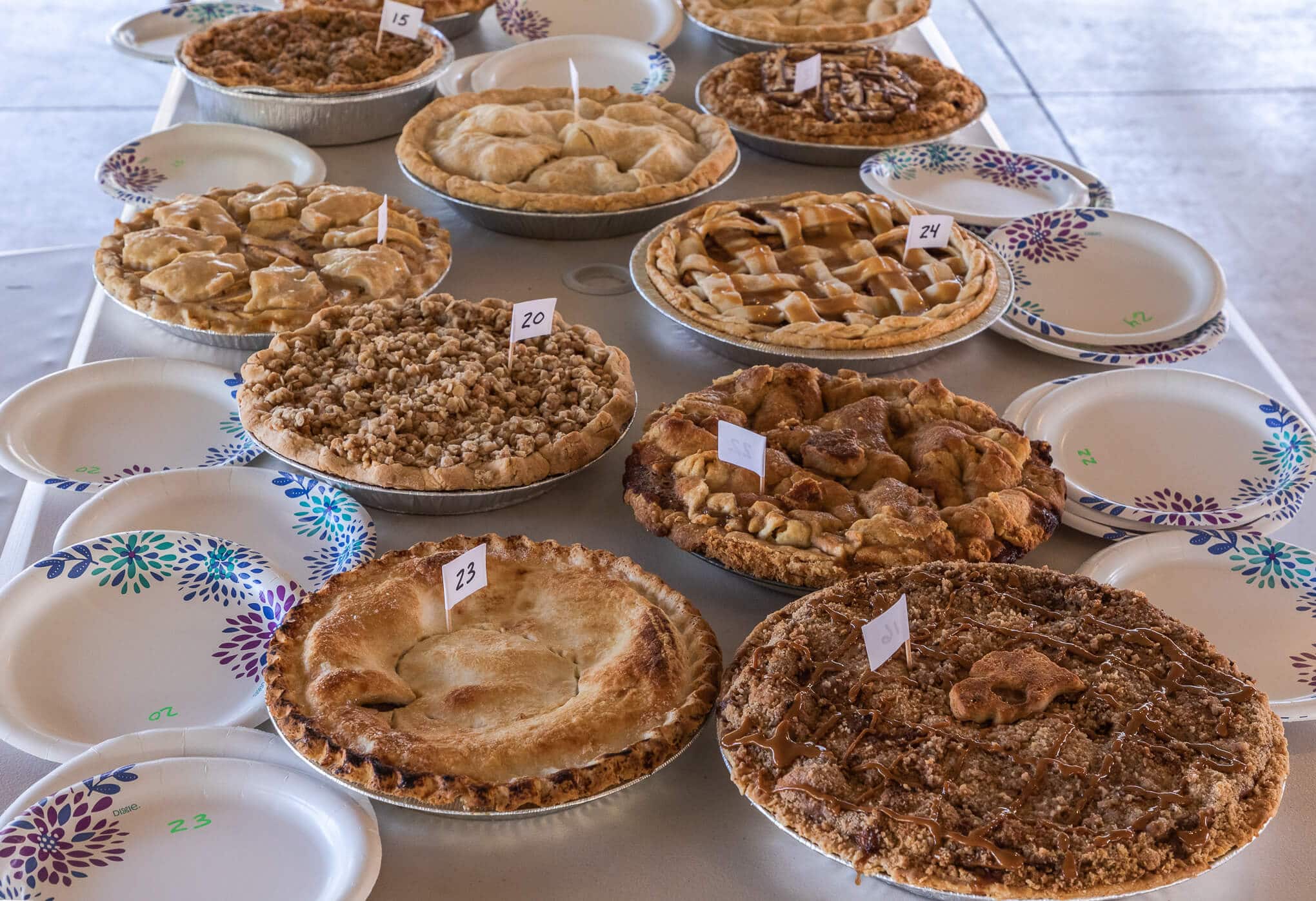 several baked pies at a picnic table at the festival